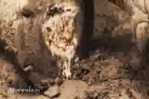 Kadamban (2017) Part-2.mp4