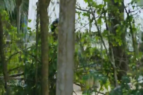 Raja Manthiri HD Sample.mp4