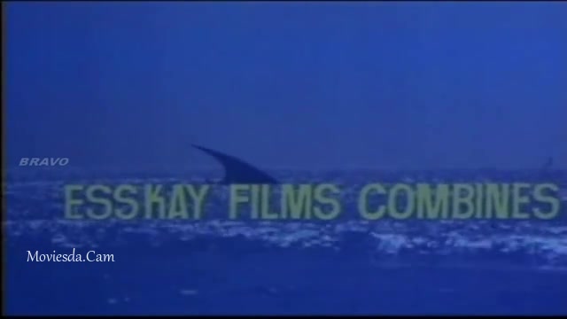 Paravaigal Palavitham 1988 HD.mp4