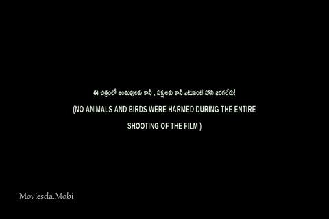 Thanga Raja 2022.mp4