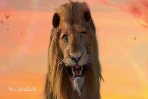 Sinam 2022.mp4