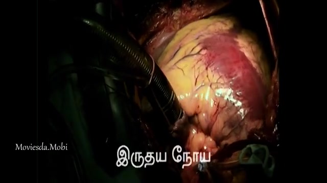 Once Upon A Time In Jamaligudda 2024 HD.mp4