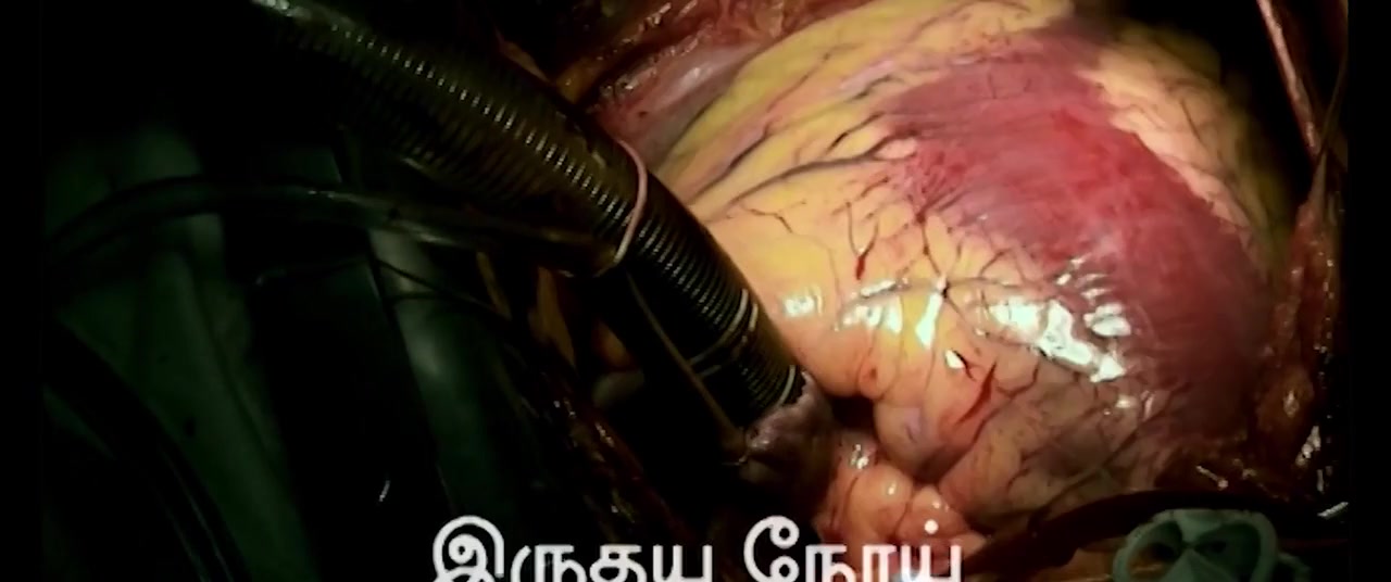 Moviesda.Mobi - Boomi Enna Suthuthey 2024 Original 720p HD.mp4
