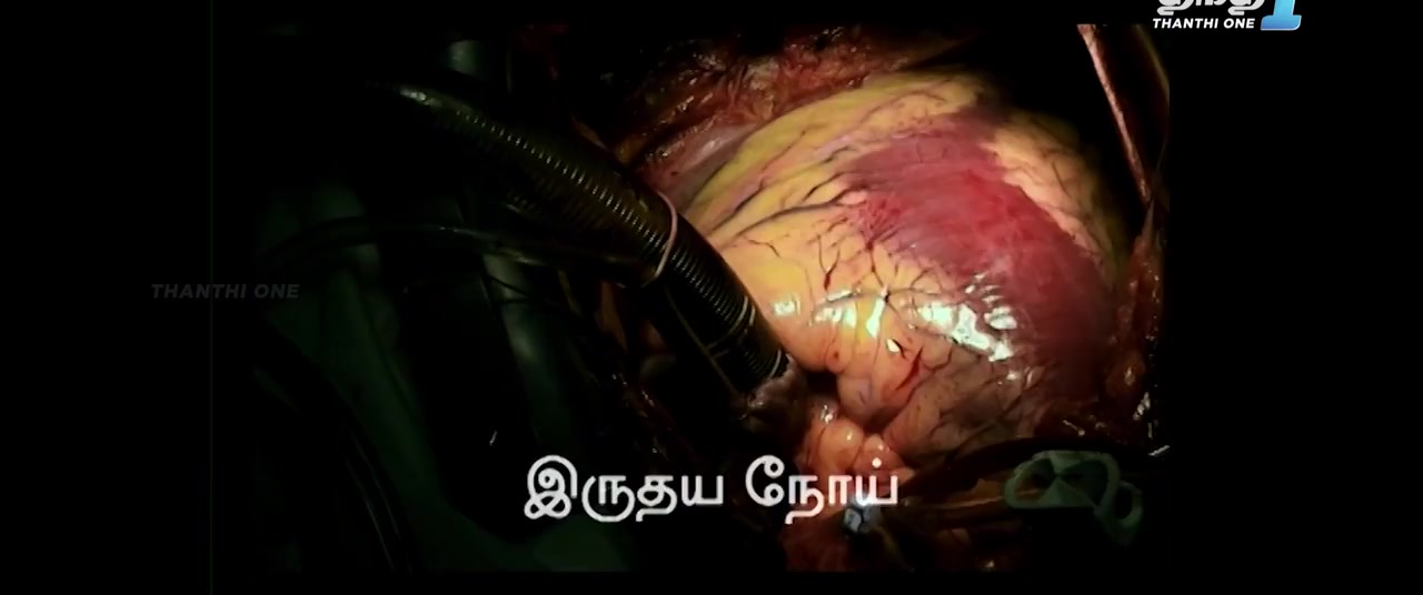 Moviesda.Mobi - Sugarless 2022 Original 720p HD.mp4