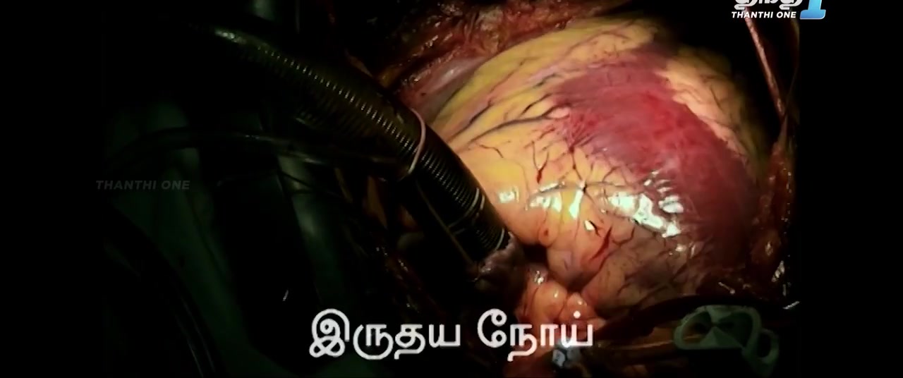 Moviesda.Mobi - God Father 2024 Original 720p HD.mp4