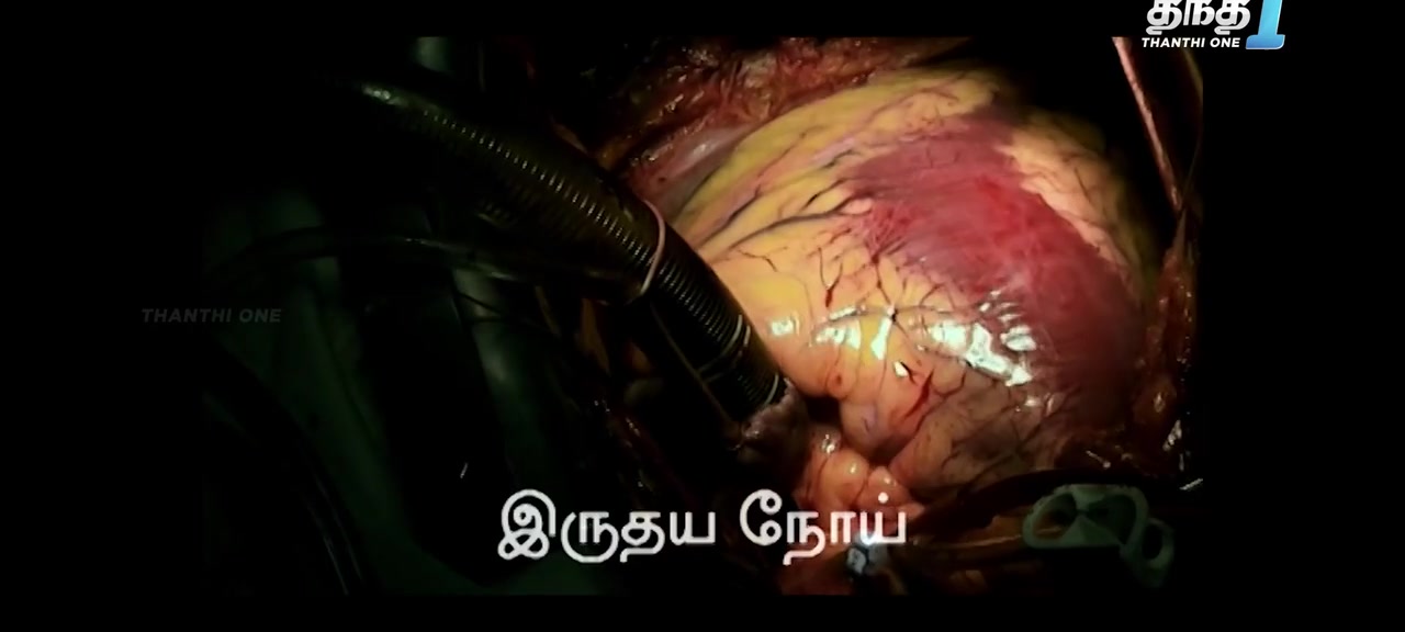 Moviesda.Mobi - Plot 2024 Original 720p HD.mp4