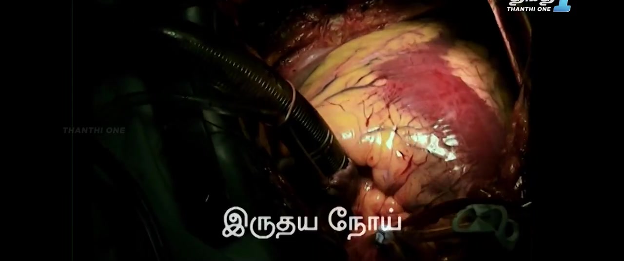 Moviesda.Mobi - Varadha 2024 Original 720p HD.mp4