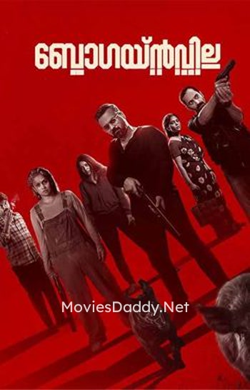 Bougainvillea (2024) Bougainvillea (2024)