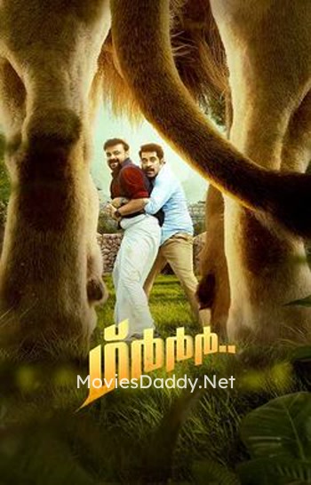 Grrr... (2024) Grrr... (2024)