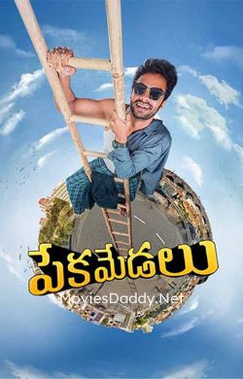 Pekamedalu (2024) Pekamedalu (2024)