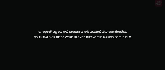 Sabari 2024 Telugu HDRip.mp4